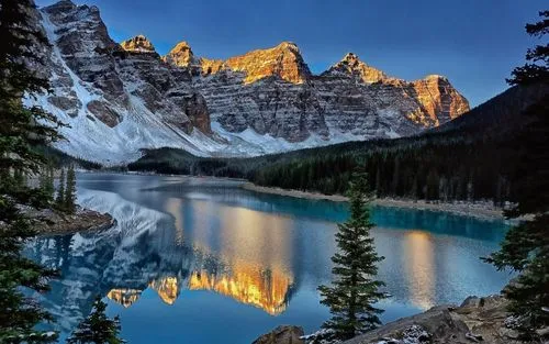 智能系统高端全自动